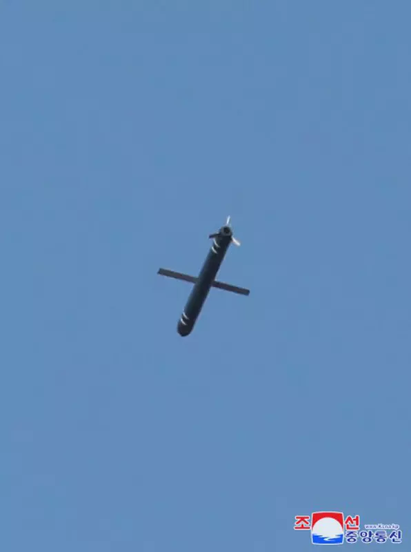 Die Rakete Pulhwasal-3-31. Illustration: KNCA