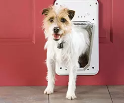 PetSafe Elektronische SmartDoor 