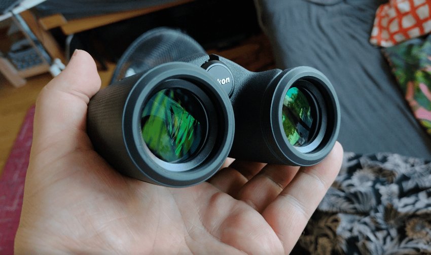 Nikon PROSTAFF P7 8x30 bestes Kinderfernglas