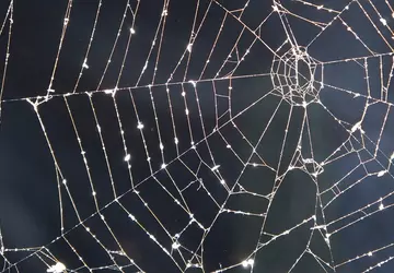 Fünfter Flugplatz und Marinestützpunkt mit nuklearem ...