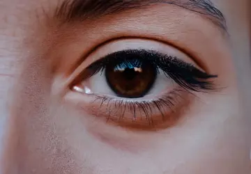 OpenAI stellt Sora vor, ein KI-Modell ...