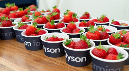 Herausgeberbemerkung: Erdbeeren, Staubsauger und britischer Surf - wie Dyson einen Bauernhof in ein Labor der Zukunft verwandelte