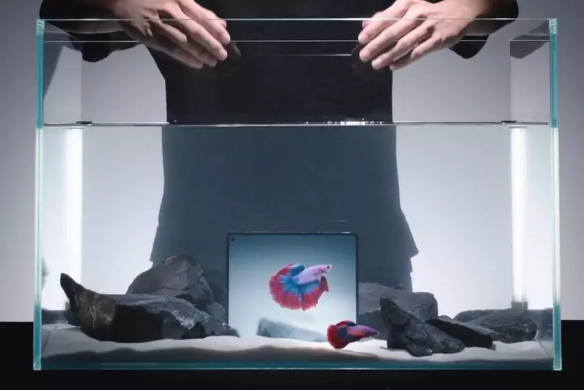 Vivo X Fold 5 faltbares Smartphone mit neuer Batterie funktioniert sogar bei -30°C