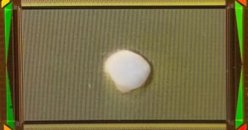 Wissenschaftler haben ein menschliches Gehirn gezüchtet, es an einen Computer angeschlossen und ihm beigebracht, Gleichungen zu lösen