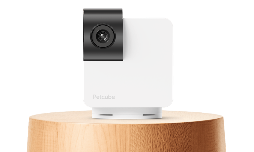 Petcube Cam 360: Haustierkamera mit 360°-Drehung, Nachtmodus und Zwei-Wege-Kommunikation