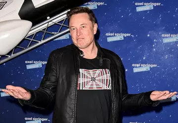 Elon Musk wirft KI-Startups vor, das ...