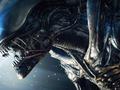 post_big/Alien-Xenomorph.jpg
