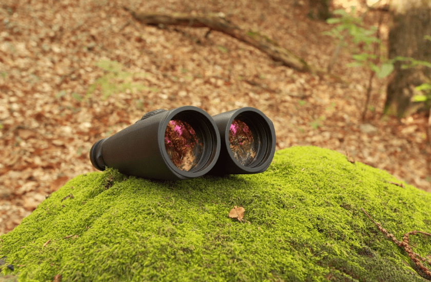 ZEISS Victory HT 8x54 Vogelbeobachtungsfernglas