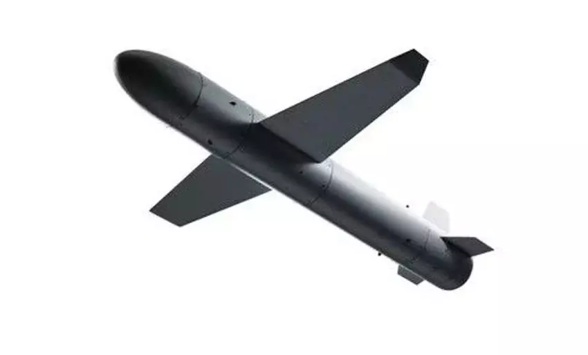 Litauen investiert 10 Mio. EUR in die Produktion der Langstrecken-Drohne "Palyanytsia"