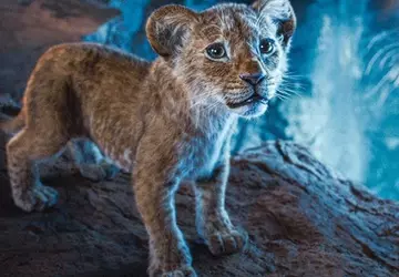 Mufasa: Der König der Löwen brachte ...