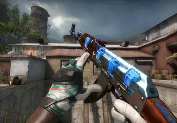 Chinesischer Sammler kauft einen Skin für ...