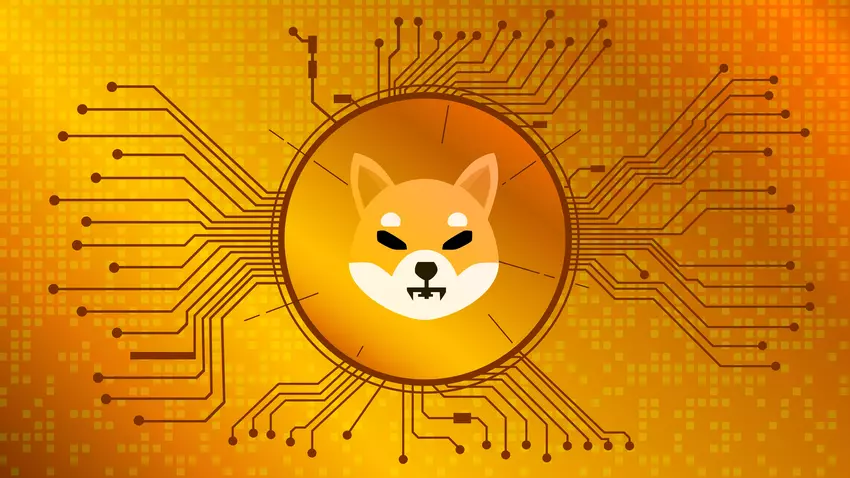 Geschäftsmann-Fahrer kaufte Shiba-Inu-Token im Wert von 670 USD, wurde Millionär und kündigte