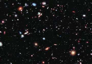 Es ist offiziell: Die Maisies sind ...