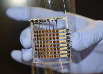 Wissenschaftler haben erstmals ein 3D-gedrucktes flexibles ...