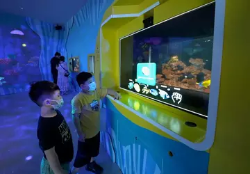 Intelligentes Aquarium mit KI und microLED-Display ...