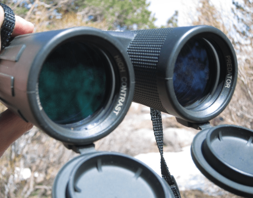 Steiner 8x42 Predator Kompaktfernglas 8x42