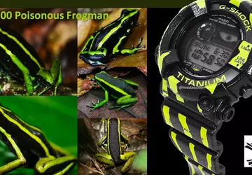 Casio Frogman GW-8200TPF Poison Dart Uhr ...