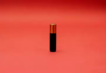 Holzelektrolyt für Batterien der nächsten Generation ...