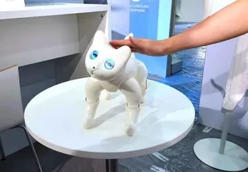 Auf der IFA 2022 zeigten sie ...