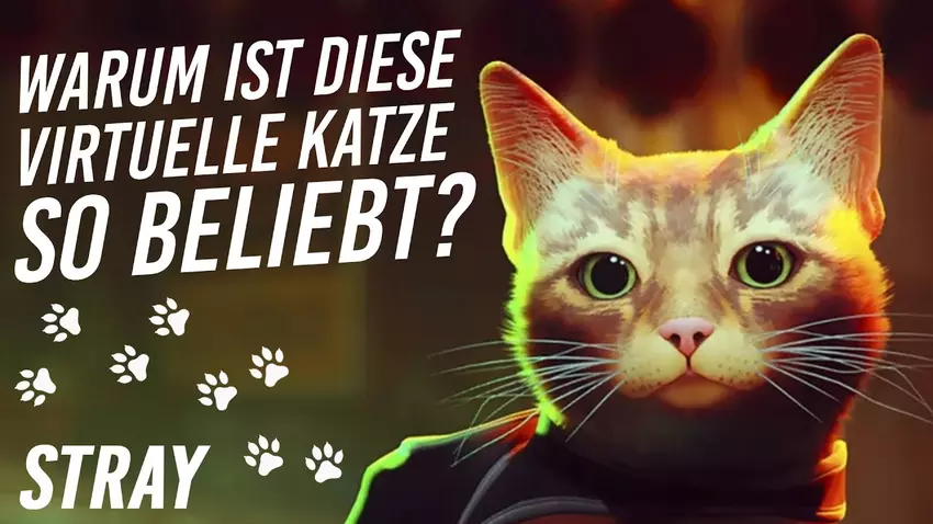 Wie konnte die Computerkatze Stray beliebter werden als lebende Katzen? (unser Video)