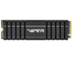 Patriot Viper VPN110