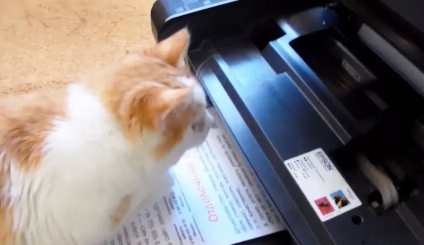 Der beste Drucker für zu Hause und die Schule