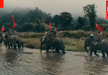 Oppositionskräfte in Myanmar setzen Elefanten im ...