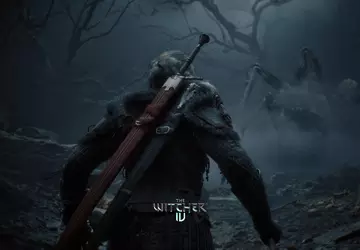 Die Entwickler von The Witcher 4 ...