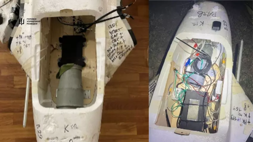 Eine Gerbera-Drohne. Illustration: GUR