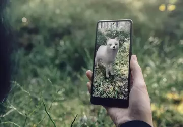 Google entfernt die meisten 3D-Tiere und ...