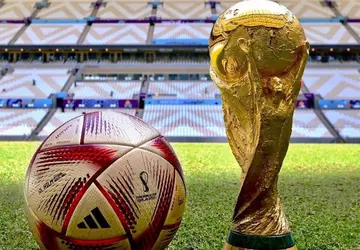 Die FIFA setzte bei der Fußballweltmeisterschaft ...