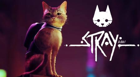 Spiel des Tages: Stray - die Cyberpunk-Reise einer roten Katze durch eine zerstörte Welt ist jetzt für Nintendo Switch erhältlich