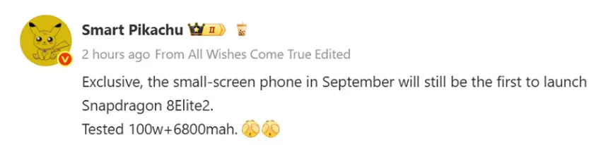 Screenshot der Nachricht von Wisdom Pikachu