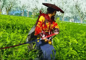 Der neue Ghost of Yōtei-Trailer zeigte ...