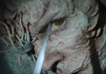 Die Autoren von The Last of ...