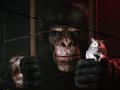 post_big/Game-Page-Featured_Animal-Use-Protocol-Inits.jpg