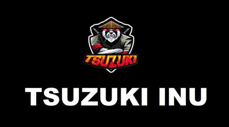 Schöpfer der Kryptowährung Tsuzuki Inu verdienten über 1.000.000 US-Dollar und verschwanden