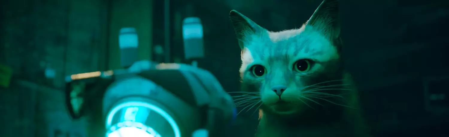 Die Geschichte von Stray: Wie eine Katze aus einer Cyberstadt zur Entdeckung des Jahres wurde und die Spieleindustrie beeinflusste