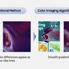 Ein Beispiel dafür, wie der Color Imaging Algorithmus funktioniert