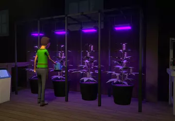 Der Indie-Hit Schedule 1, der in ...