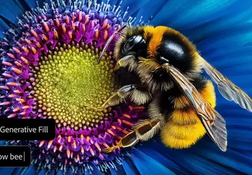 Adobe erweitert Photoshop um einen intelligenten ...