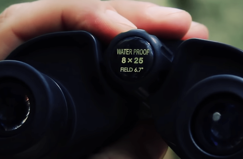 Leupold BX-1 Rogue 8x25 Jagd Ferngläser