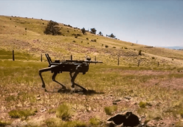 Roboterhunde mit automatischen Gewehren werden von ...