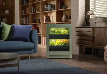 Beste Indoor-Gartendesigns für Pflanzenliebhaber überall