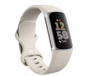 Fitbit Charge 6 Fitness- und Aktivitäts-Tracker