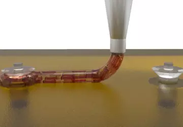 Wissenschaftler des Wyss Institute in Harvard ...