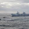 Der britische Flugzeugträger HMS Queen Elizabeth, der Kampfflugzeuge der fünften Generation vom Typ F-35B Lightning II an Bord hat, ist zum ersten Mal in der Geschichte unter NATO-Kommando gestellt worden.-24 Der britische Flugzeugträger HMS Queen Elizabeth, der Kampfflugzeuge der fünften Generation vom Typ F-35B Lightning II an Bord hat, ist zum ersten Mal in der Geschichte unter NATO-Kommando gestellt worden.-24