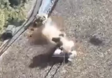 Video des Tages: Ukrainischer Panzer trifft ...