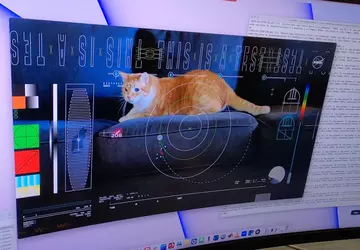 Psyche übertrug ein Katzenvideo aus dem ...