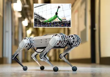 Mini Cheetah, ein Roboterhund, wurde zum ...